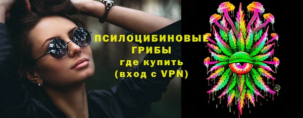 гидра Пенза