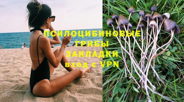 гидра Пенза