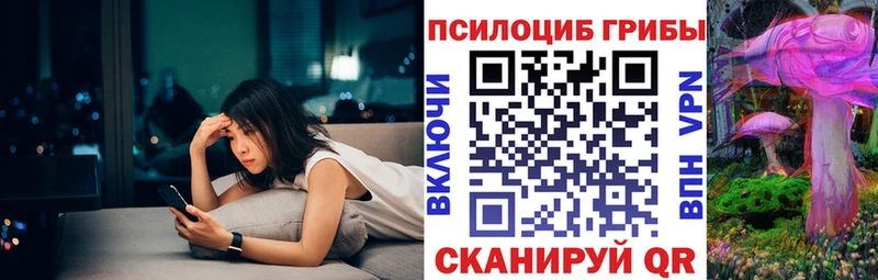 Галлюциногенные грибы Psilocybe  Купить где  Торопец 